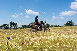 Isto não é sobre marcas... é sobre a manutenção que lhe dás.