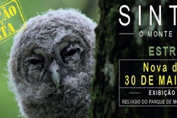 Documentário “Sintra – O Monte da Lua” em Monserrate adiado para dia 30 de maio