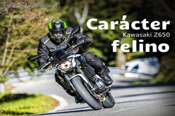 Teste Kawasaki Z650 - Carácter felino