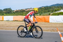Bernardo Vieira