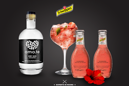 Amo.te e Schweppes juntam-se para celebrar o amor