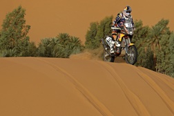 Ruben Faria