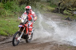 Paulo Gonçalves 