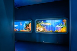 Sea Life Porto celebra 13º aniversário com novas espécies marinhas e muita animação