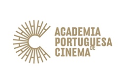 Paulo Trancoso reeleito Presidente da Academia Portuguesa de Cinema