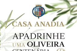 Azeite Casa Anadia com campanha para apadrinhar oliveiras centenárias