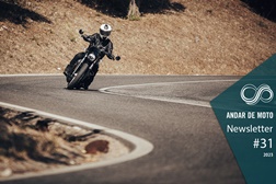 Newsletter nº 31/2023 - 01 de Agosto de 2023