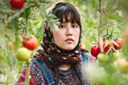 Na Terra dos Nossos Irmãos - Estreia a 18 de Dezembro