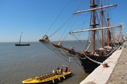 Rota do Bacalhau oferece roteiro gastronómico na Baía do Seixal