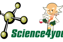 Science4you inaugura nova loja no Centro Comercial Colombo