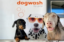 Galp testa serviço de lavagem ... para cães - “Dog Wash” está disponível na Área de Serviço do Oeiras Parque