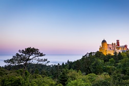 Parques de Sintra recebem o verão com programação para desfrutar da natureza - De dia ou de noite, na Pena ou em Monserrate