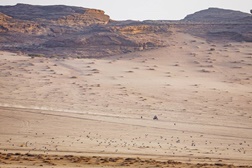 Rali Dakar 2026: Etapa 4, liderança é agora de Toscha Schareina, Bruno Santos melhor português e Ventura em sérias dificuldades