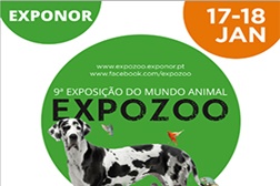 Expozoo vai voltar a mostrar animais de companhia de todas as espécies na Exponor