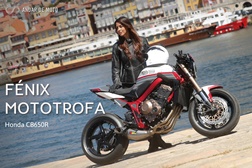 Contacto Fênix Mototrofa - Honda CB650R
