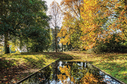 Visita sazonal de outono ao Parque de Serralves
