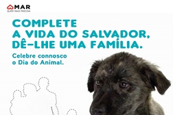 MAR Shopping apoia terapia assistida por animais e promove campanha de adoção