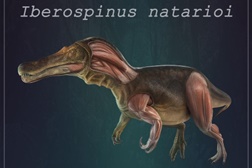 Nova espécie de dinossauro descoberta em Sesimbra vai ser exposta no Dino Parque Lourinhã