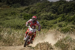 Hélder Rodrigues