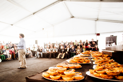 Peixe em Lisboa: E o melhor Pastel de Nata é...