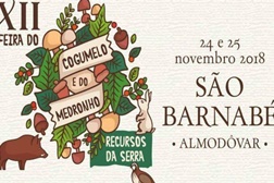 Feira do Cogumelo e do Medronho 2018 - São Barnabé - Almodôvar