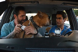 "Stuber" - Comédia de ação em estreia no TVCine Top