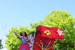Festa da Flor promete encantar Famalicão