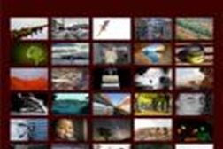 Mês da Fotografia no Barreiro - Últimas iniciativas