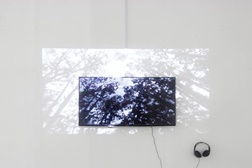 Lois Patiño apresenta exposição em Vila do Conde