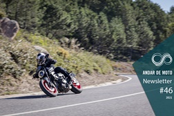 Newsletter nº 46/2021 - 18 de Novembro de 2021