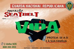 GNR fiscaliza uso do cinto de segurança até domingo