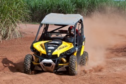 Rally do Espírito Santo: categoria UTV em ascensão no Brasil