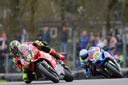 Luta ao rubro entre Shakey e Ray