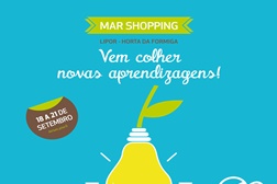 Horta da Formiga em Casa - Atividade gratuita para "agricultores" urbanos (e aspirantes!) no MAR Shopping - Agricultura em família entre 18 e 21 de setembro, no MAR Shopping