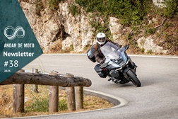 Newsletter nº 38/2025 - 25 de Setembro de 2025