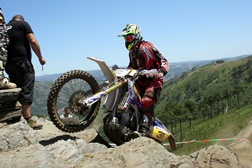 Luís Oliveira