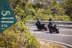 Newsletter nº 36/2024 - 11 de Setembro de 2024