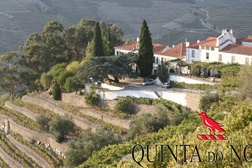 Quinta do Noval na Wine o’Clock de Matosinhos - sexta dia 27 de Março às 18:30 - “Acreditamos que um grande vinho resulta da expressão elegante e harmoniosa do terroir de um grande vinhedo.”