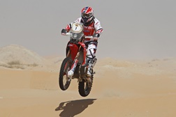 Paulo Gonçalves