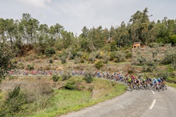 Agenda de Ciclismo (9 e 10 de abril de 2022)