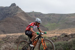 David Rosa