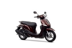 Yamaha D'elight 2014 - magnetic bronze