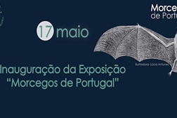 Morcegos de Portugal na Tapada Nacional de Mafra