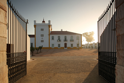 Torre de Palma Wine Hotel a passar um fim-de-semana prolongado no Alentejo pelo Carnaval