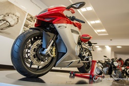 Foto: ToZé Canaveira