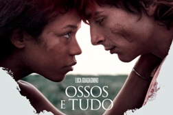 Ossos e Tudo