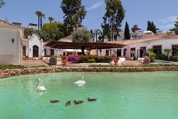 Santos Populares à moda do Vila Vita Parc: uma festa tradicional no resort - No dia 13 de junho entre as 18h e as 23h