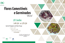 Oficina de fiores comestíveis e de germinados