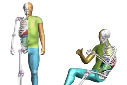 THUMS da Toyota agora é de acesso gratuito - Marca espera contribuir para aumentar a segurança do corpo humano em veículos