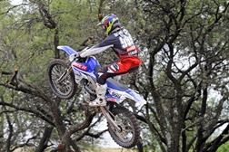 Rui Gonçalves